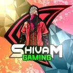 Shviam Hacks